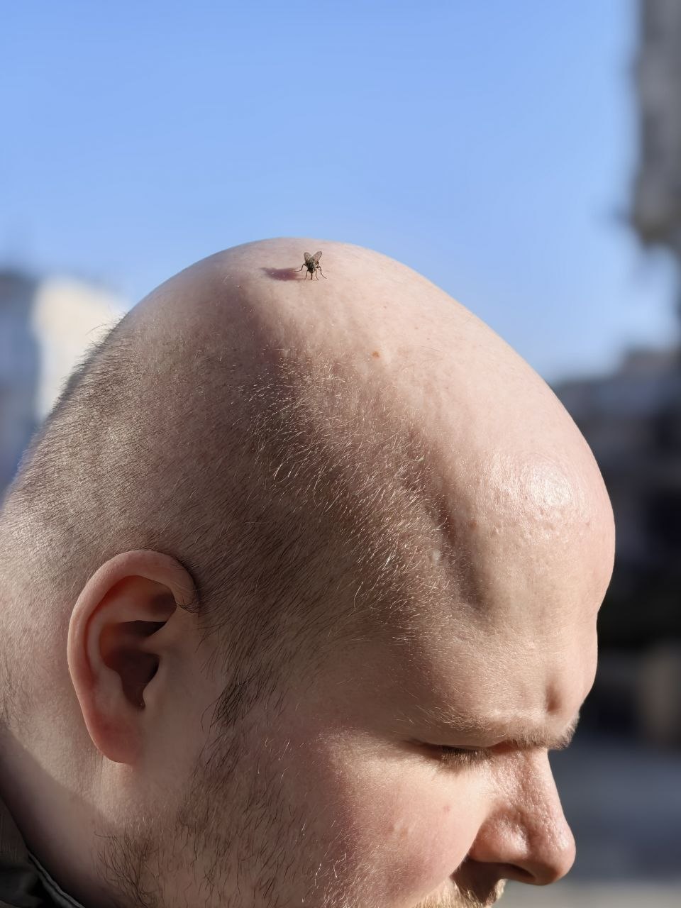 photo_2026-03-26_19-05-05